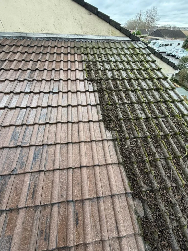 Démoussage de toiture Montargis 45