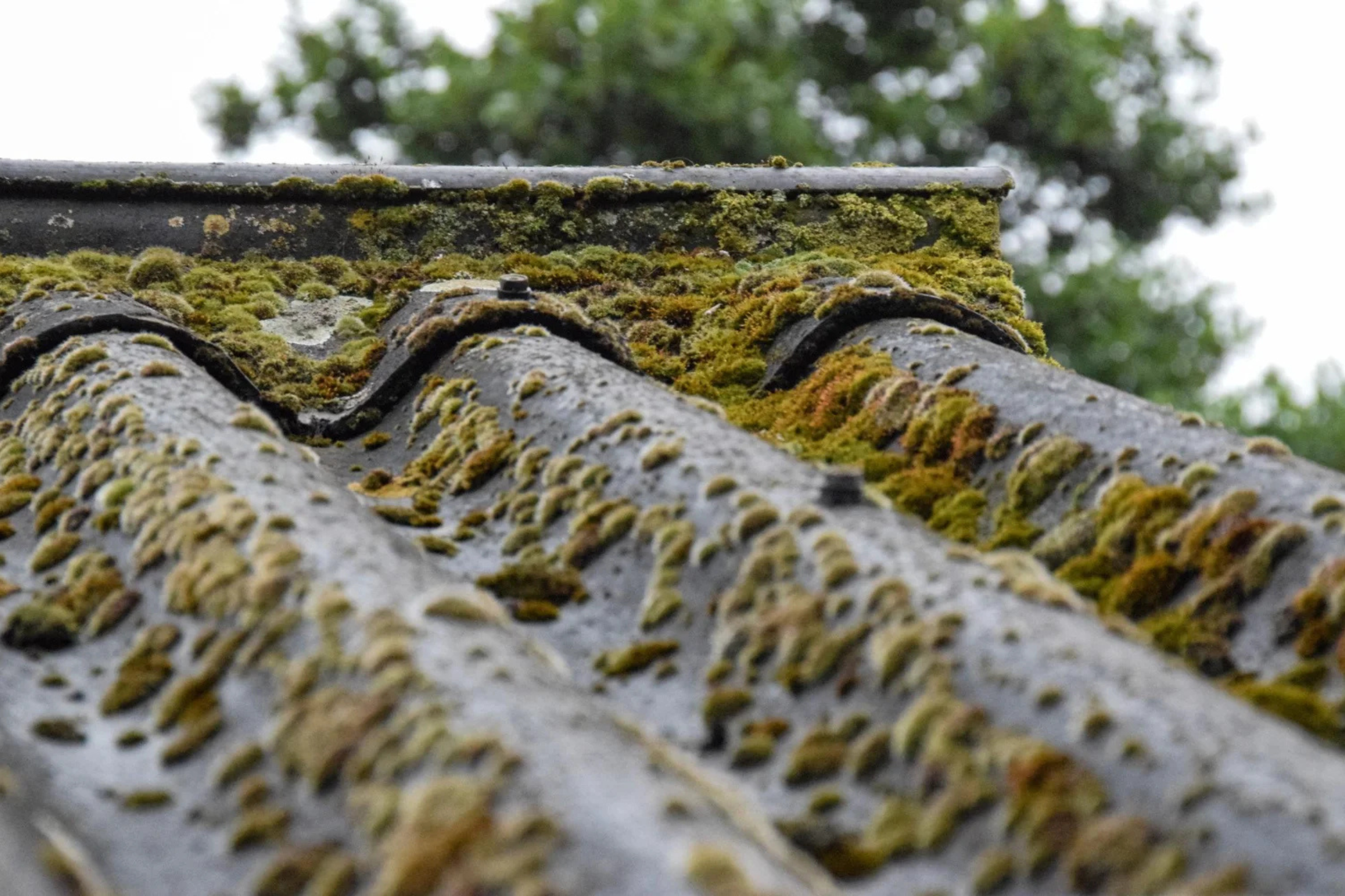 Recherche de fuite toiture 45 Montargis