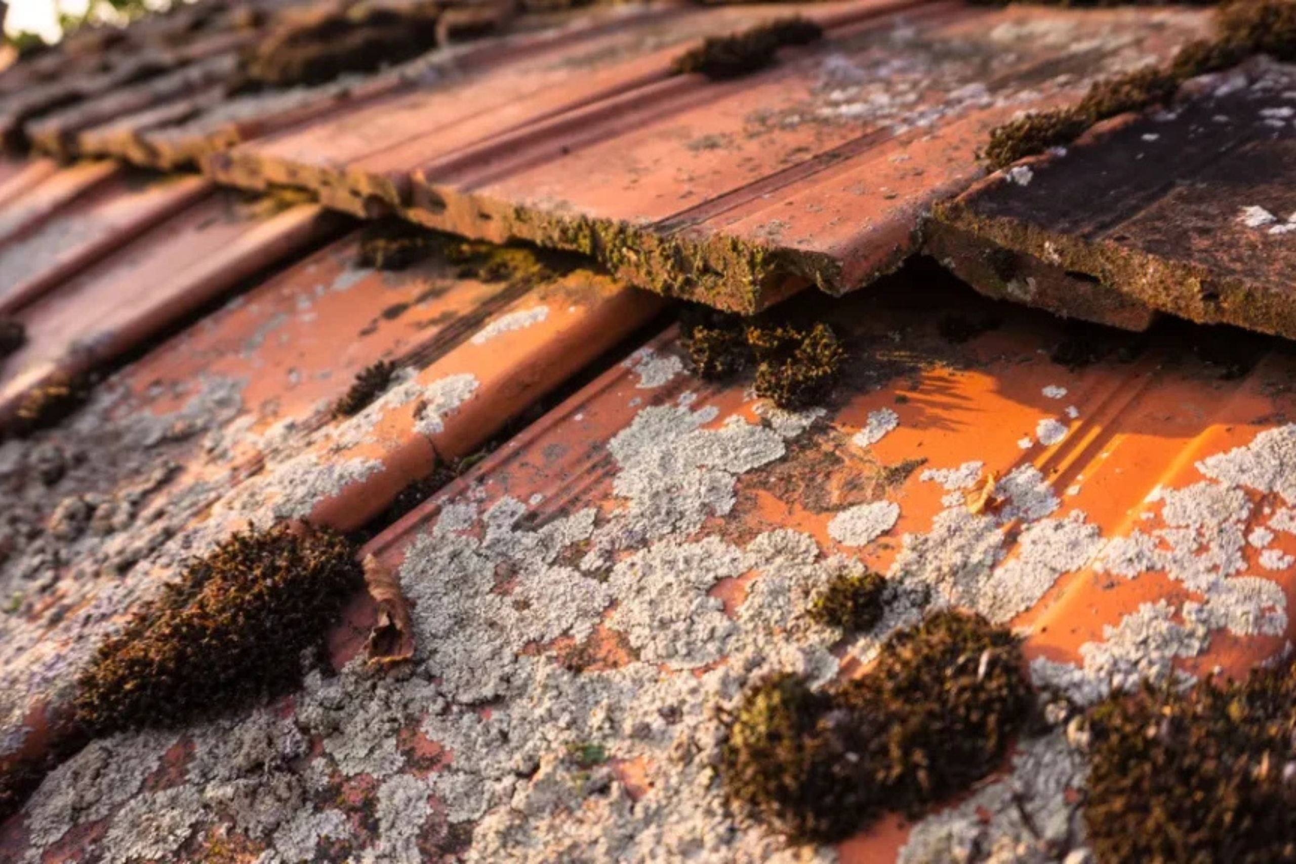 Recherche de fuite toiture 45200 Montargis