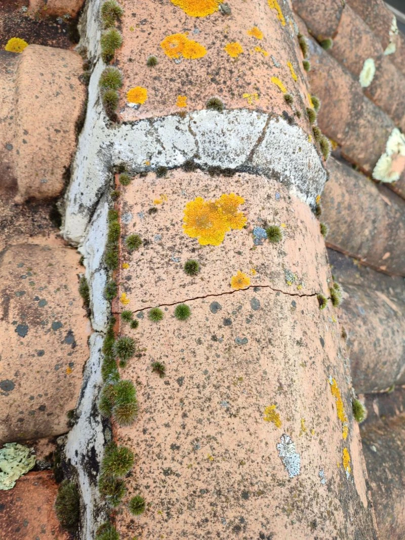 Réparation de toiture Montargis 45